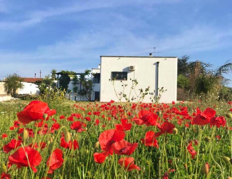 Villa Sara Di Puglia Castellaneta Kültér fotó