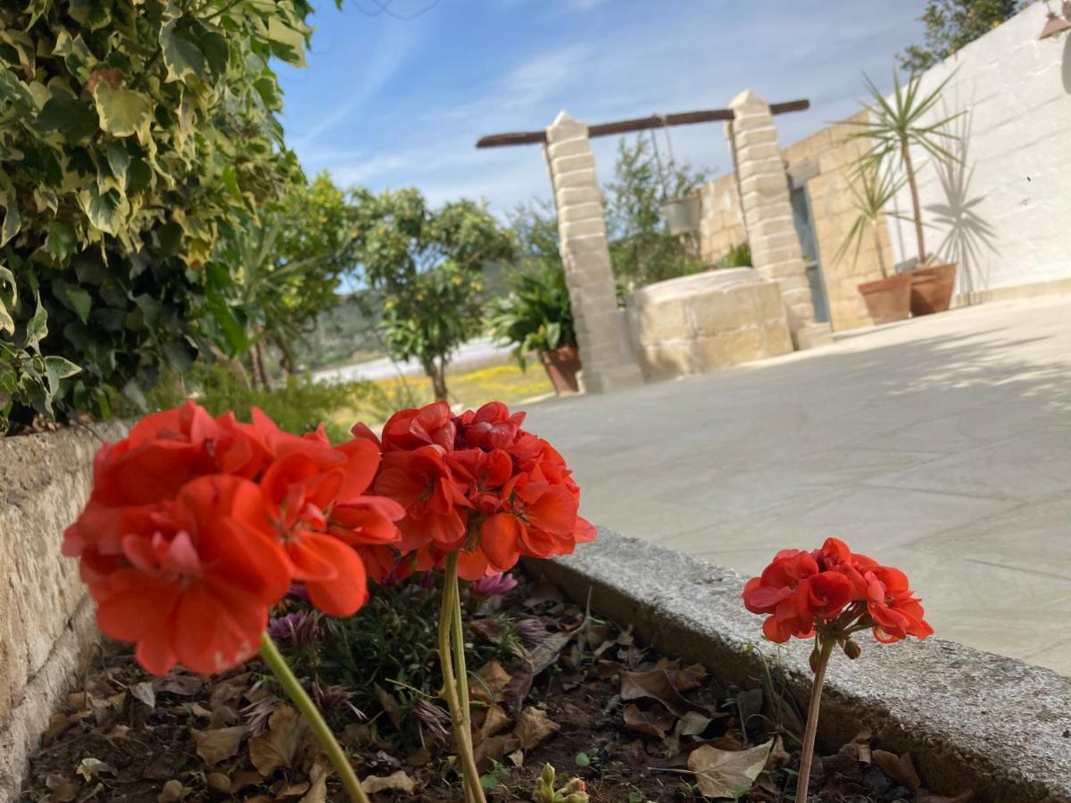 Villa Sara Di Puglia Castellaneta Kültér fotó